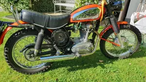 Ducati   (13)
