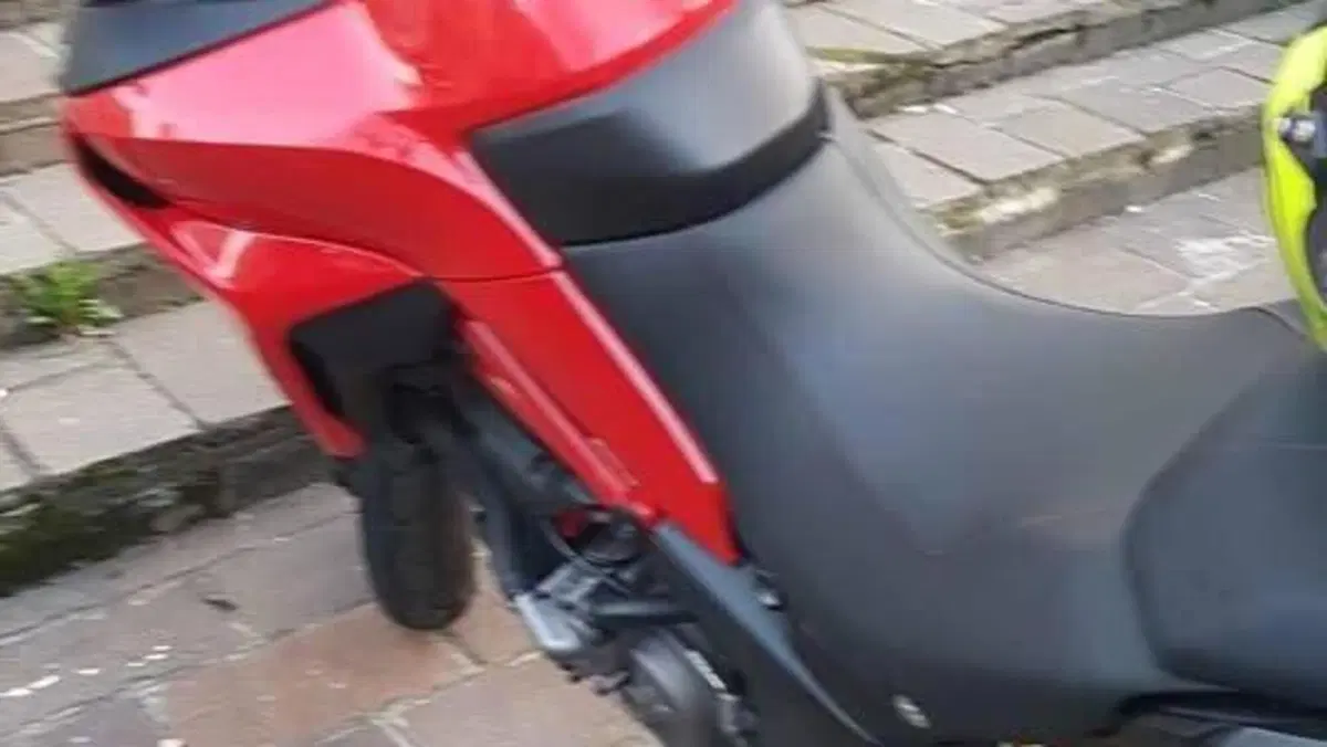 Ducati Multistrada 950 S (2019 - 20)  (2)
