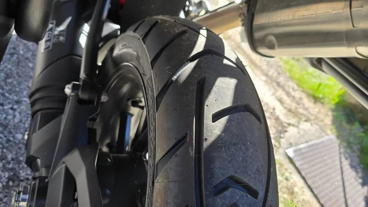 Triumph Tiger 1200 GT Pro (2022 - 23) 