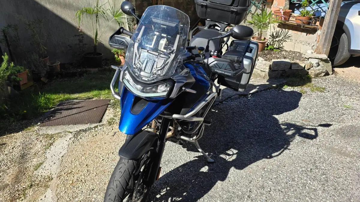 Triumph Tiger 1200 GT Pro (2022 - 23)  (3)