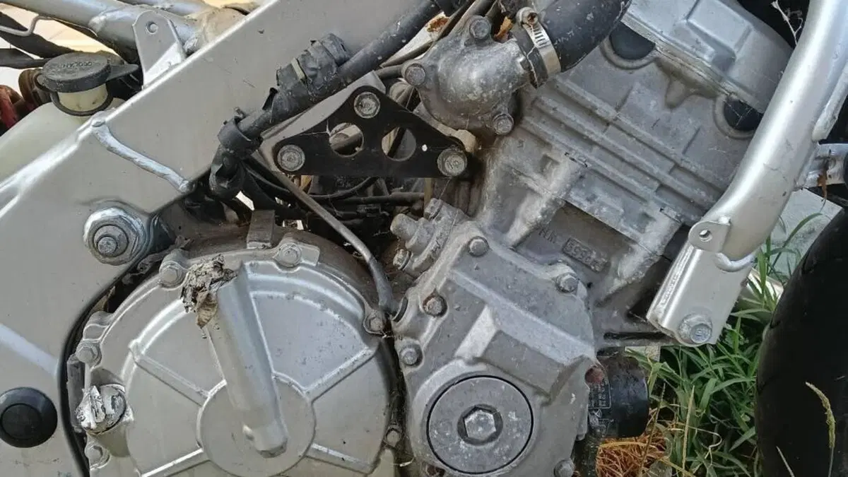 Honda   (7)