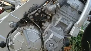 Honda   (7)