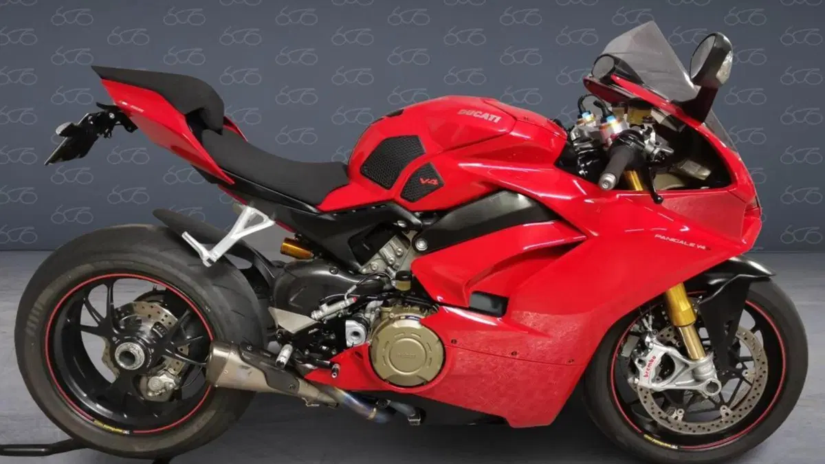Ducati Panigale V4 S 1100 (2018 - 19) 