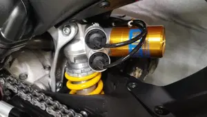 Ducati Panigale V4 S 1100 (2018 - 19)  (6)