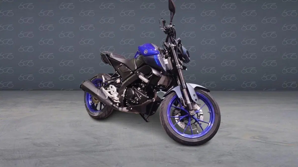 Yamaha MT-125 (2021 - 24)  (4)