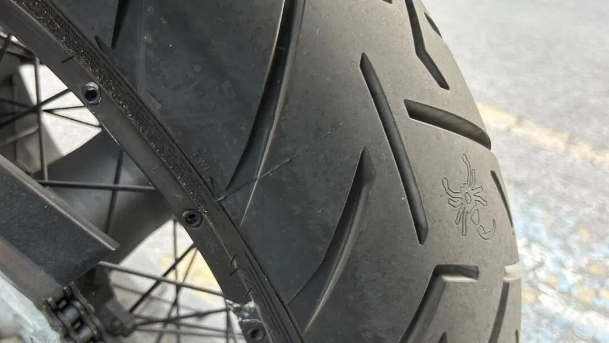 Aprilia Caponord ETV 1000 ABS (2004 - 11)  (4)