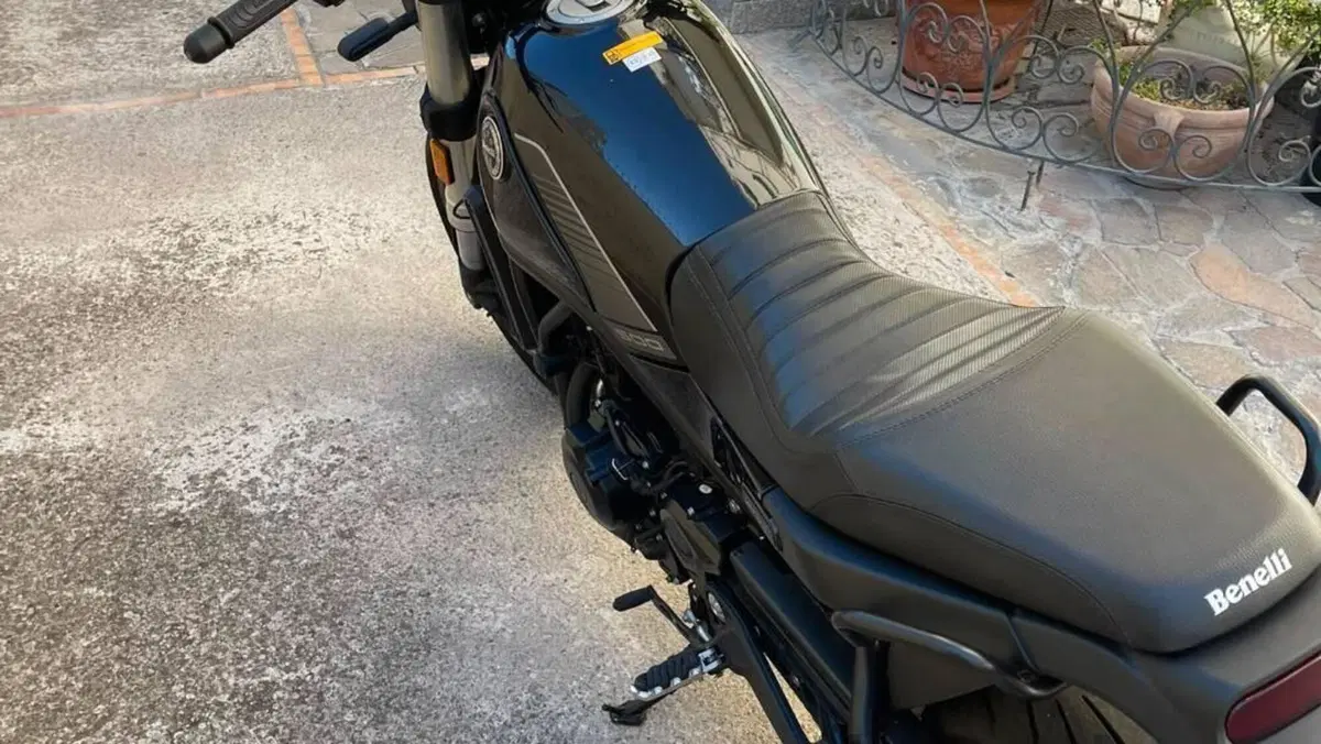 Benelli Leoncino 500 (2021 - 25)  (4)