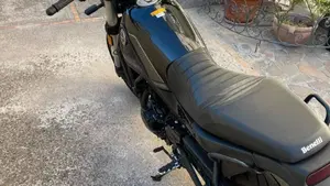 Benelli Leoncino 500 (2021 - 25)  (4)