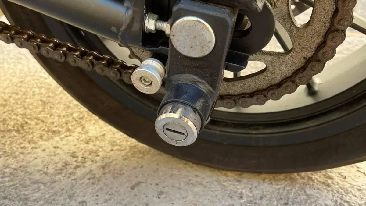 Benelli Leoncino 500 (2021 - 25)  (8)