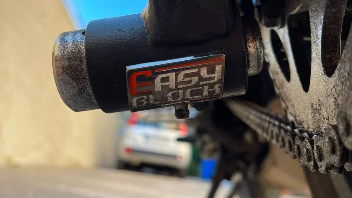 Benelli Leoncino 500 (2021 - 25)  (9)