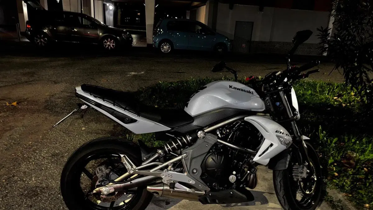 Kawasaki ER-6N (2009 - 11)  (4)