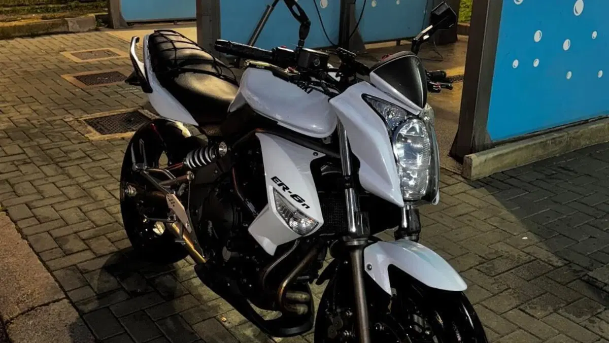 Kawasaki ER-6N (2009 - 11)  (6)