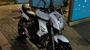 Kawasaki ER-6N (2009 - 11)  (6)