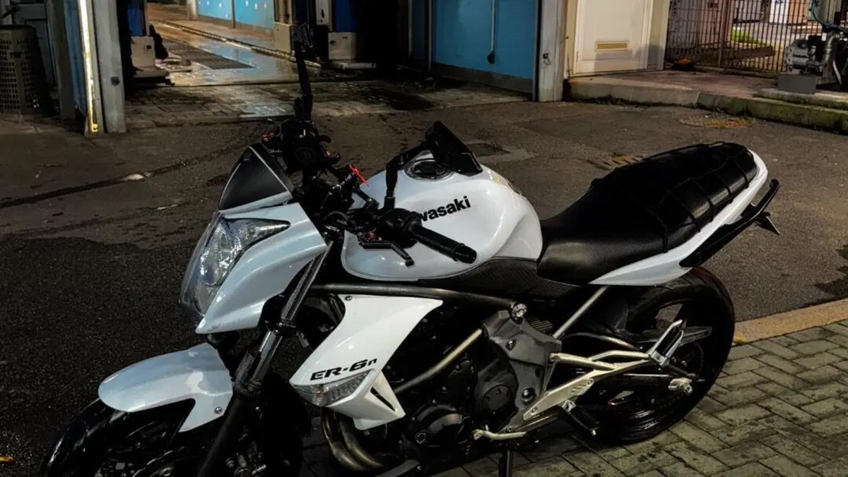 Kawasaki ER-6N (2009 - 11)  (7)