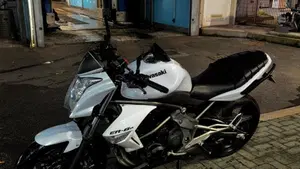 Kawasaki ER-6N (2009 - 11)  (7)