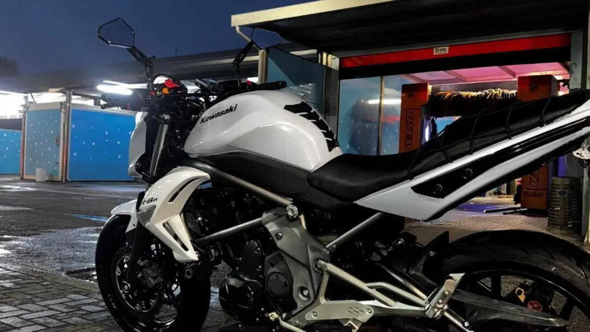 Kawasaki ER-6N (2009 - 11)  (9)