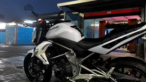 Kawasaki ER-6N (2009 - 11)  (9)