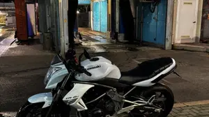 Kawasaki ER-6N (2009 - 11)  (10)