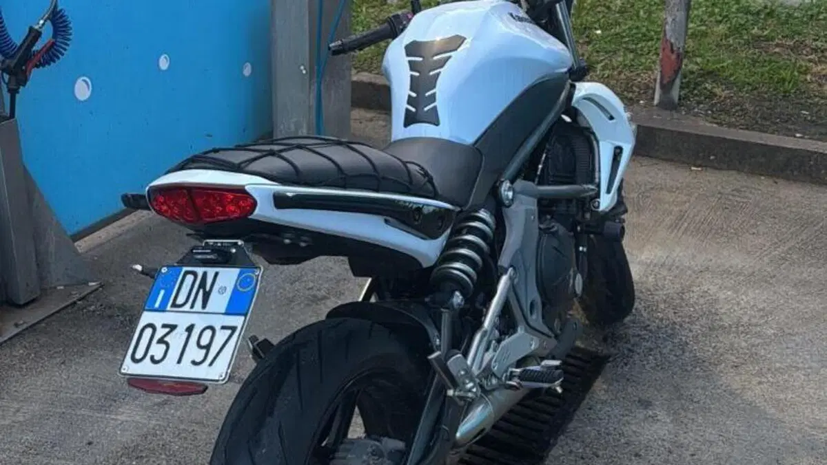 Kawasaki ER-6N (2009 - 11)  (11)
