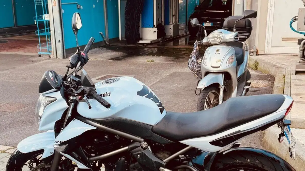Kawasaki ER-6N (2009 - 11)  (12)
