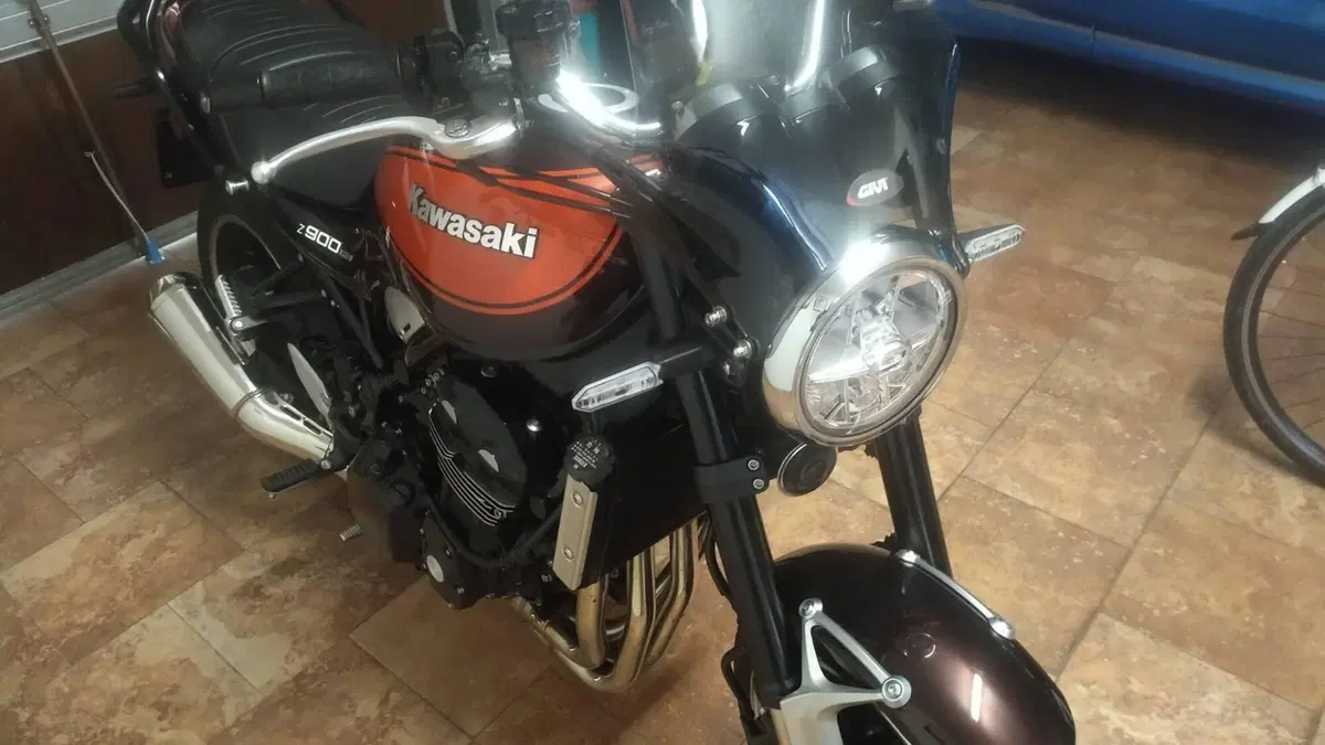 Kawasaki Z 900 RS (2018 - 20)  (5)