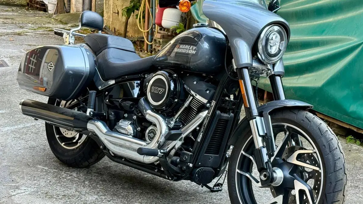 Harley-Davidson Sport Glide (2021 - 25) 