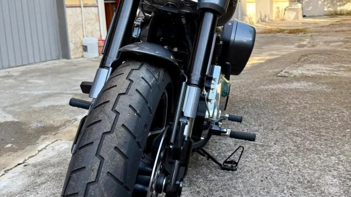 Harley-Davidson Sport Glide (2021 - 25)  (6)