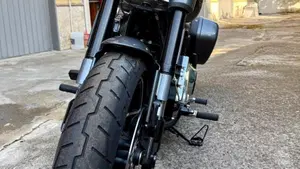 Harley-Davidson Sport Glide (2021 - 25)  (6)