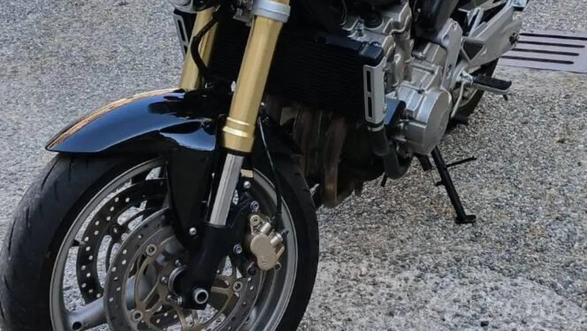 Honda Hornet 600 (2005 - 06)  (3)