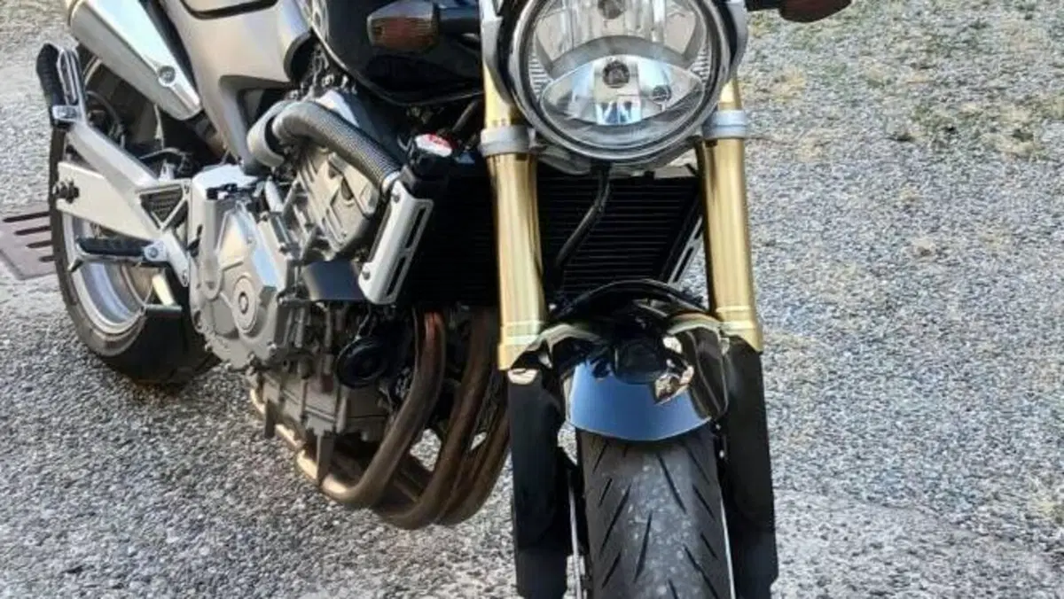 Honda Hornet 600 (2005 - 06)  (4)