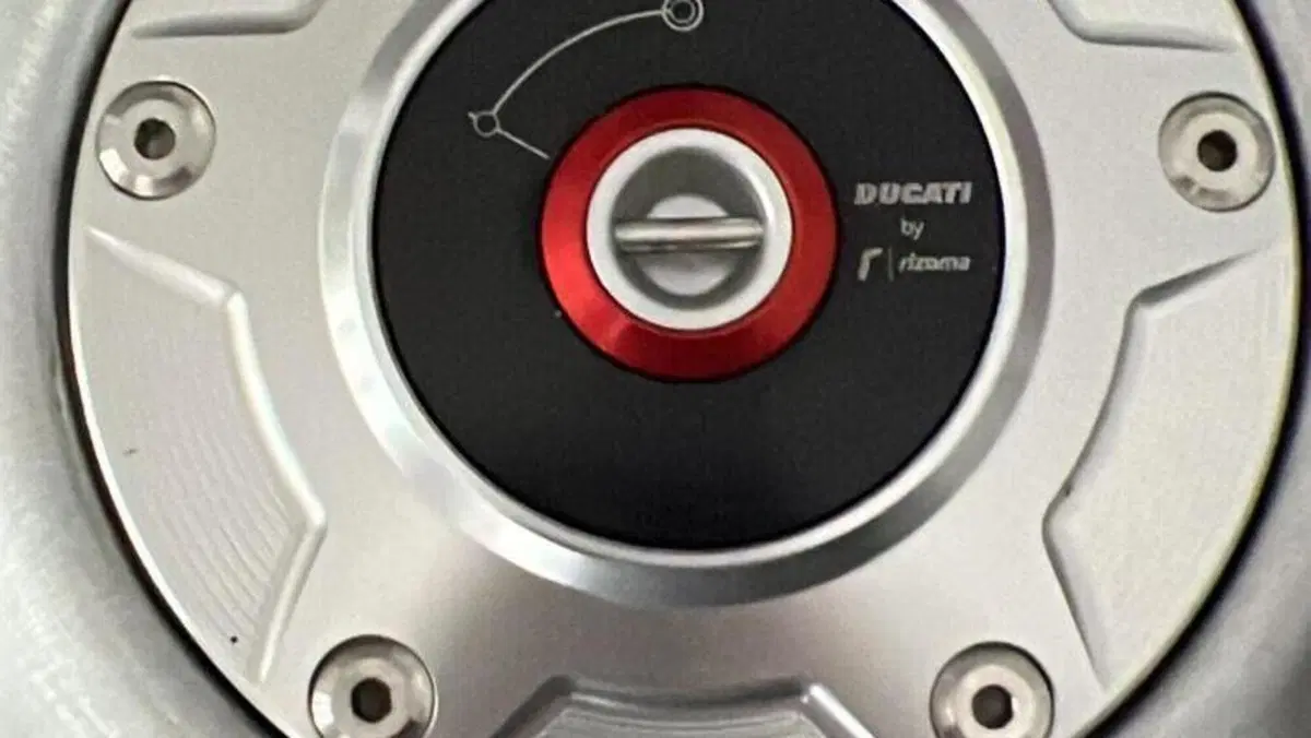 Ducati Panigale V4 S 1100 (2018 - 19)  (8)