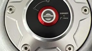 Ducati Panigale V4 S 1100 (2018 - 19)  (8)