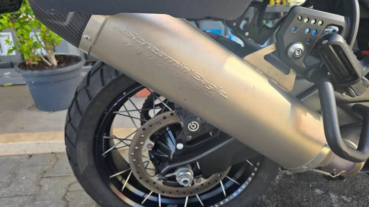 Harley-Davidson Pan America 1250 Special (2020 - 25)  (8)