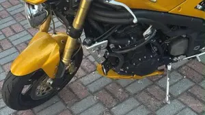 Triumph Speed Triple 1050 (2005 - 11)  (2)
