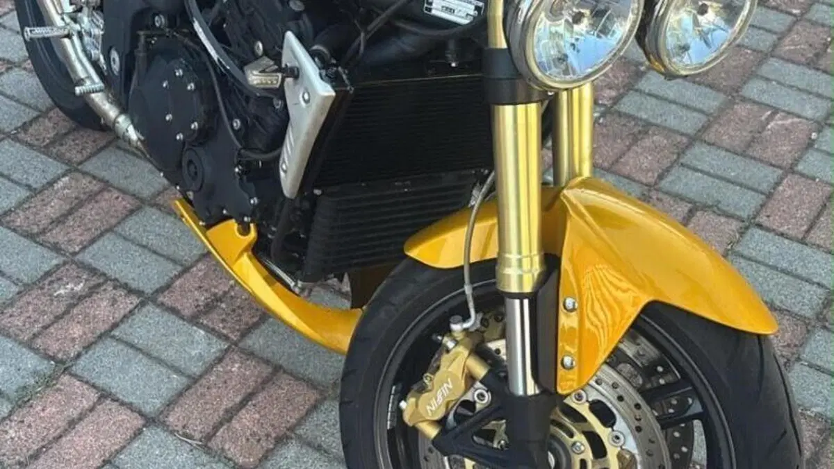Triumph Speed Triple 1050 (2005 - 11)  (3)
