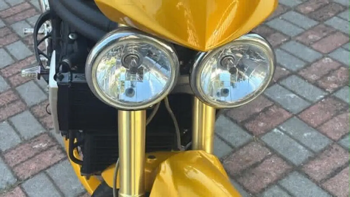 Triumph Speed Triple 1050 (2005 - 11)  (4)