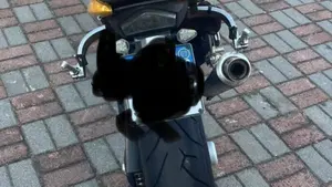 Triumph Speed Triple 1050 (2005 - 11)  (5)