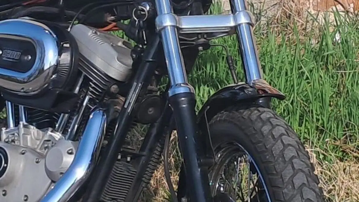 Harley-Davidson 1200 Roadster (2002 - 05) - XL 1200R 