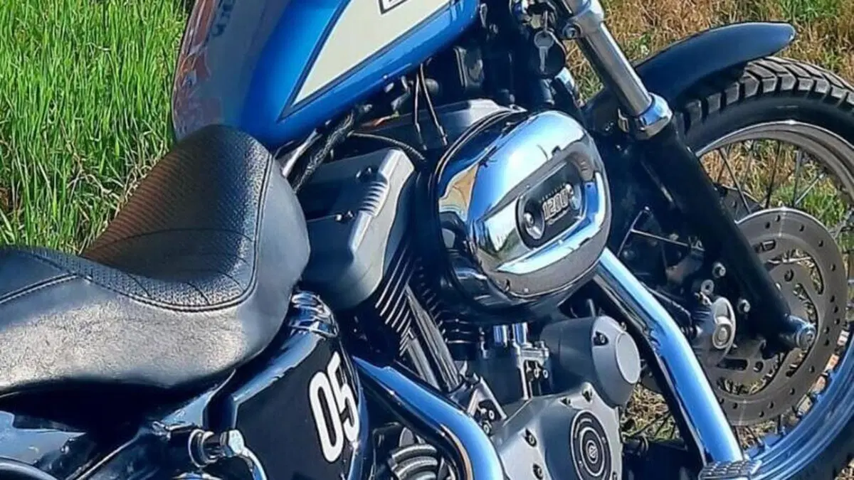 Harley-Davidson 1200 Roadster (2002 - 05) - XL 1200R  (2)
