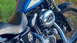 Harley-Davidson 1200 Roadster (2002 - 05) - XL 1200R  (2)