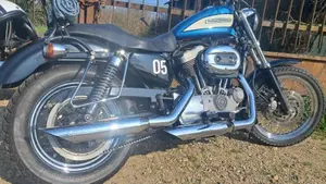 Harley-Davidson 1200 Roadster (2002 - 05) - XL 1200R  (3)