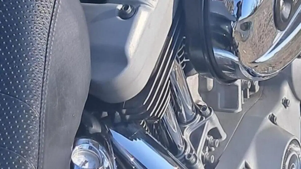 Harley-Davidson 1200 Roadster (2002 - 05) - XL 1200R  (7)