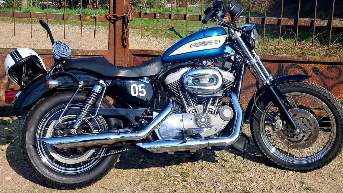 Harley-Davidson 1200 Roadster (2002 - 05) - XL 1200R  (8)