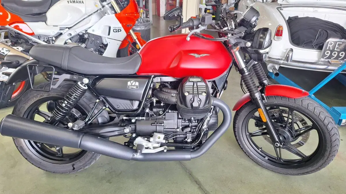 Moto Guzzi V7 Stone (2021 - 24) 