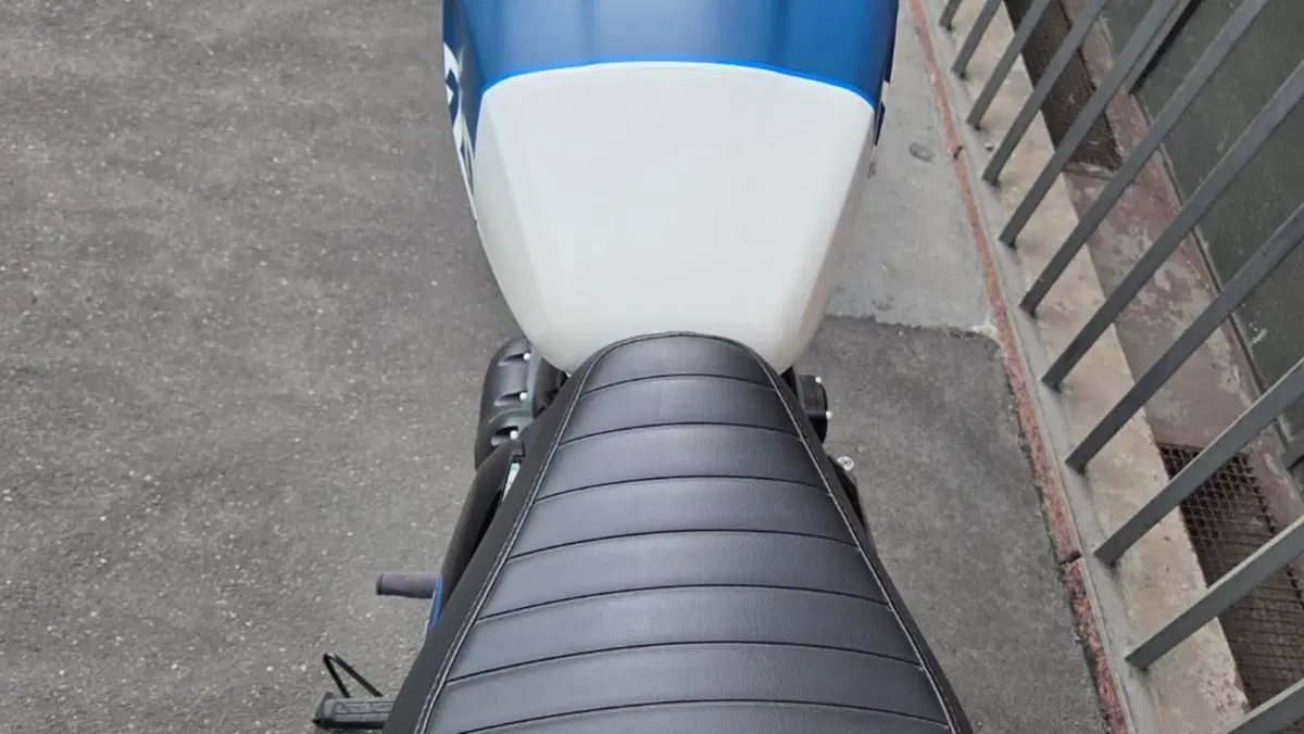 Royal Enfield HNTR 350 (2022 - 26)  (5)