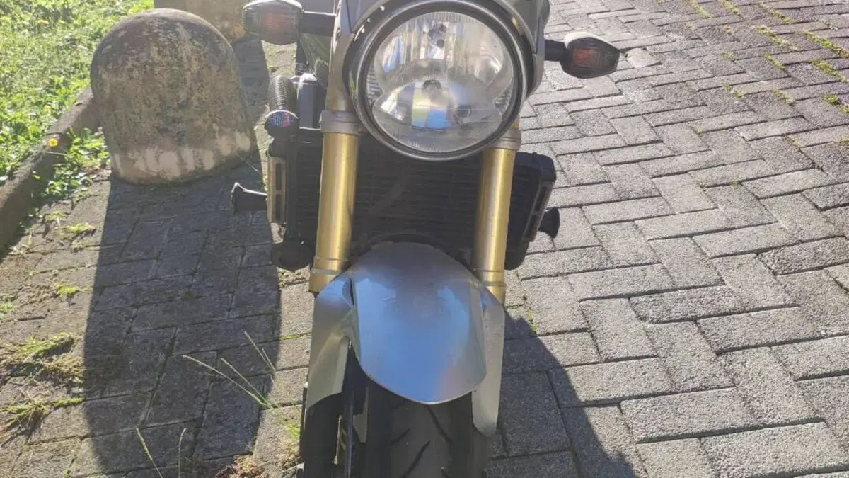Honda Hornet 600 (2005 - 06)  (4)