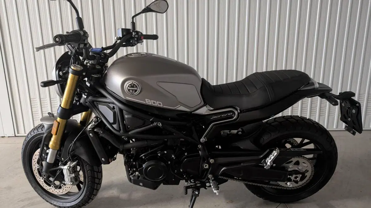 Benelli Leoncino 800 (2022 - 26) 