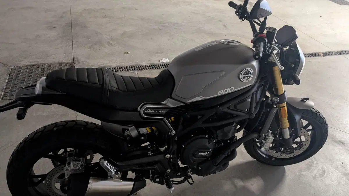 Benelli Leoncino 800 (2022 - 26)  (2)