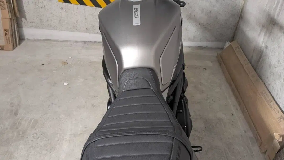 Benelli Leoncino 800 (2022 - 26)  (3)