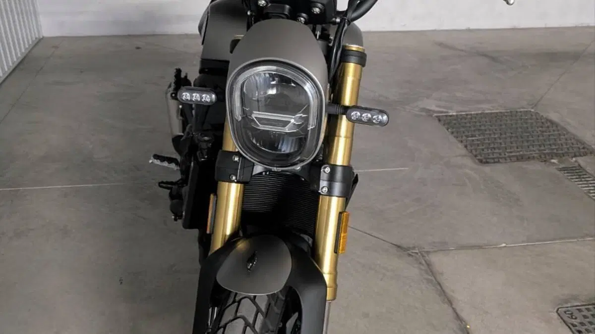 Benelli Leoncino 800 (2022 - 26)  (6)